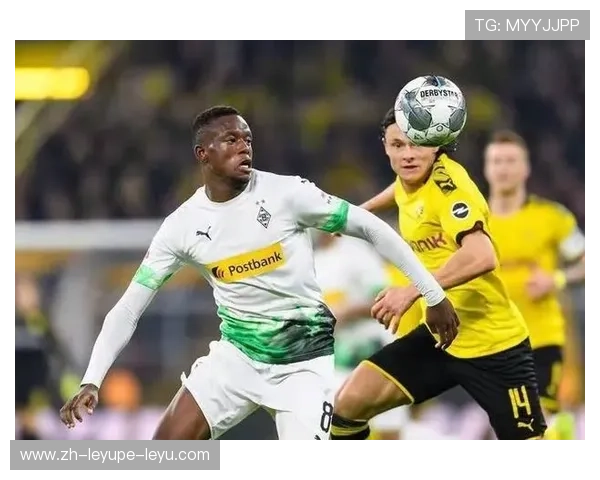 德甲球队不稳定因素分析及改进方向探讨