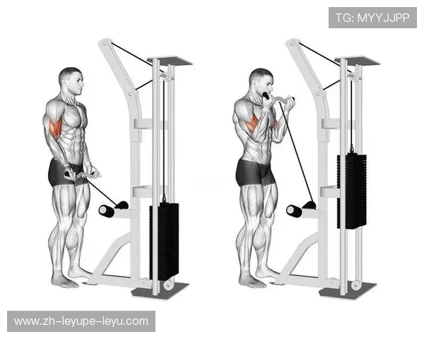 正确使用健身器材训练手臂肌肉的科学方法